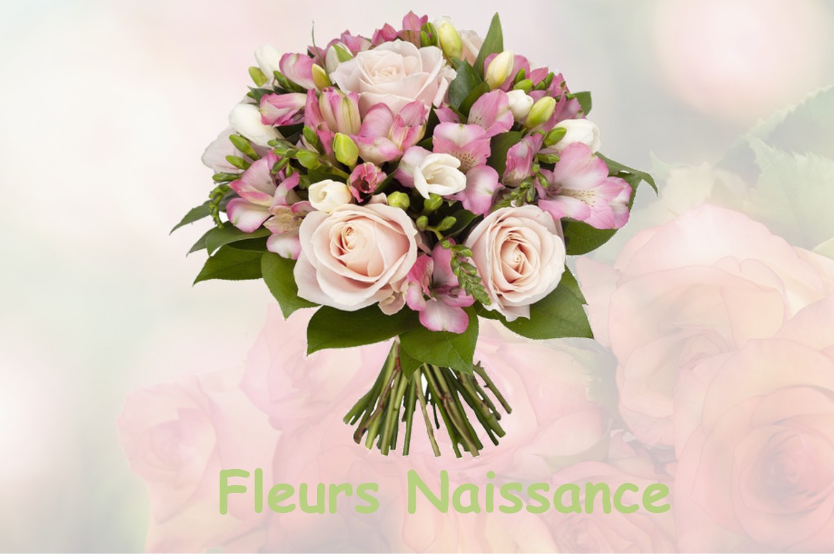 fleurs naissance SAINT-PIERRE-DE-SALERNE
