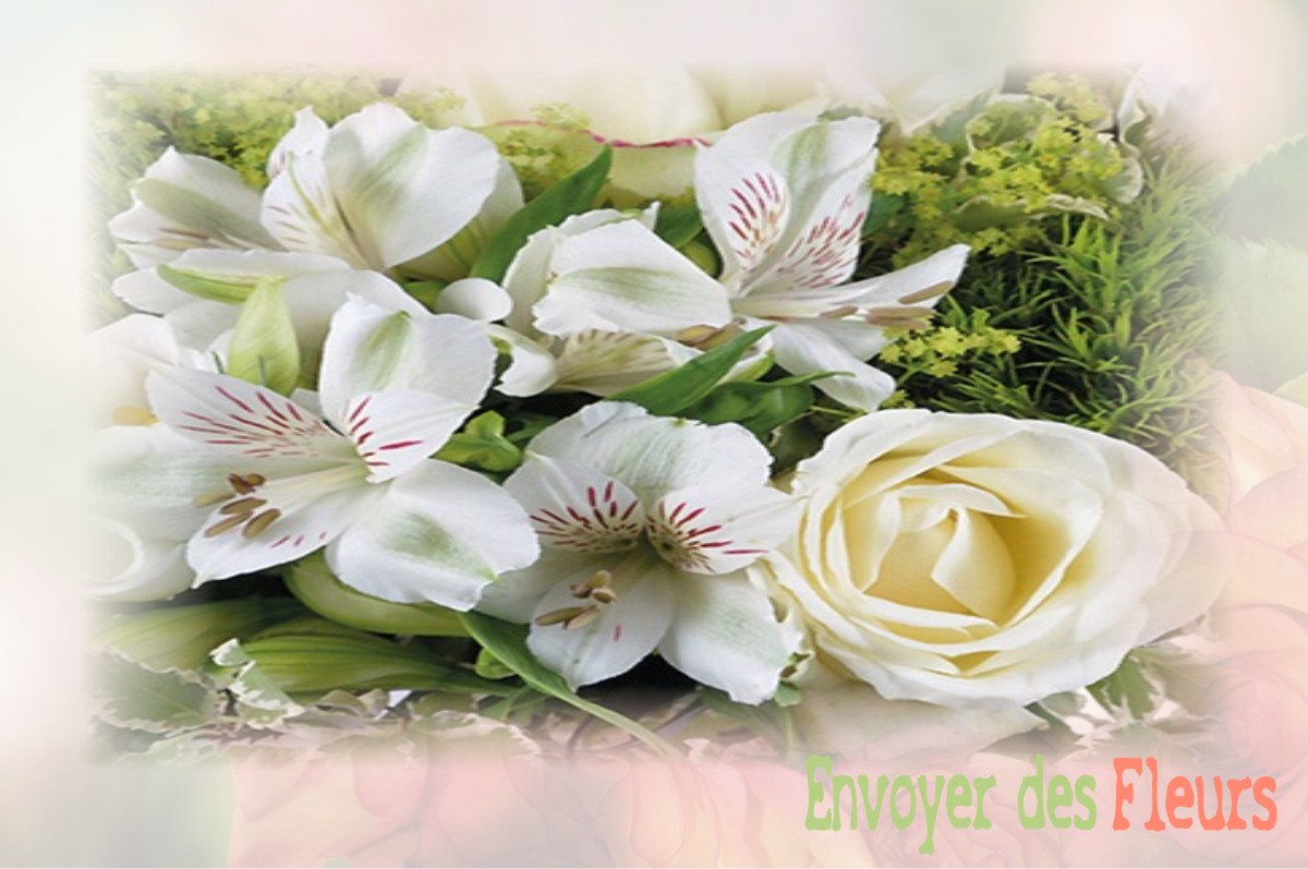 envoyer des fleurs à à SAINT-PIERRE-DE-SALERNE